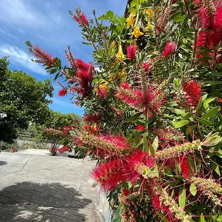 Penzion Vila Xhaferaj Vlorë